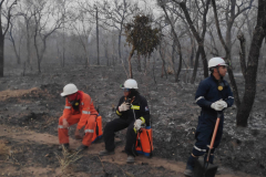 IMG_20190915_055147-scaled