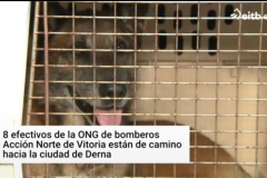 Screenshot_20230912_234129_Chrome