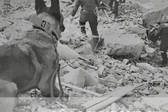 Screenshot_20231120_141548_Samsung-Notes