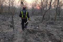 IMG_20190915_061709-scaled